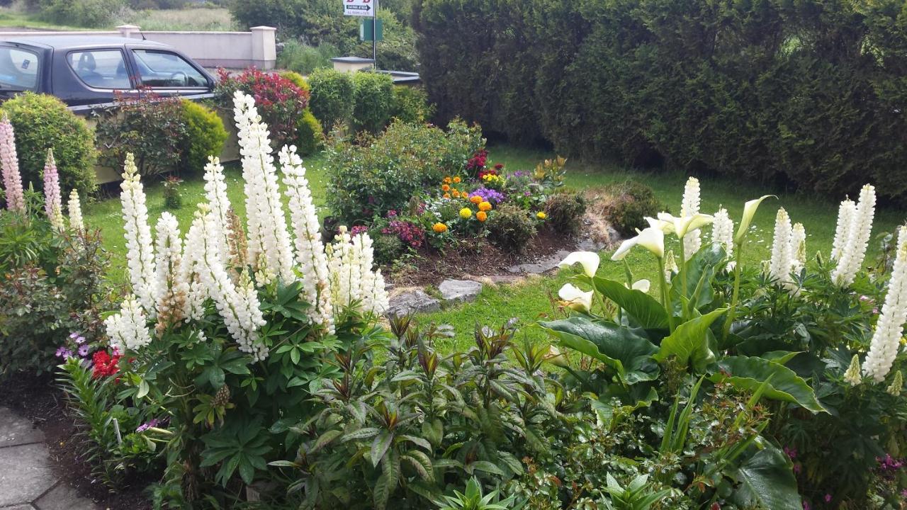 Riverwalk House B&B Oughterard Exterior foto